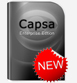 Colasoft Capsa network analyzer and Protocol analyzer