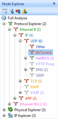 Locate BitTorrent in the Node Explorer