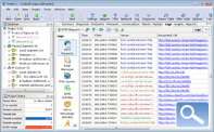 Capsa Packet Sniffer Logs