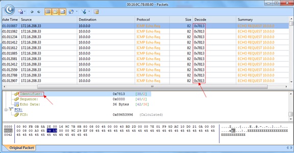 Decoding packets caught in a routing loop