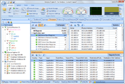 Automatic Expert Network Diagnosis