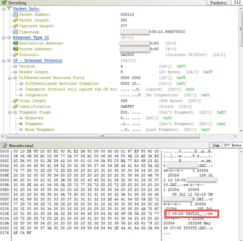 packet-decoding-1